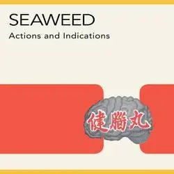 Album artwork for Action And Indications by Seaweed