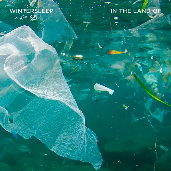 Album artwork for In The Land Of by Wintersleep