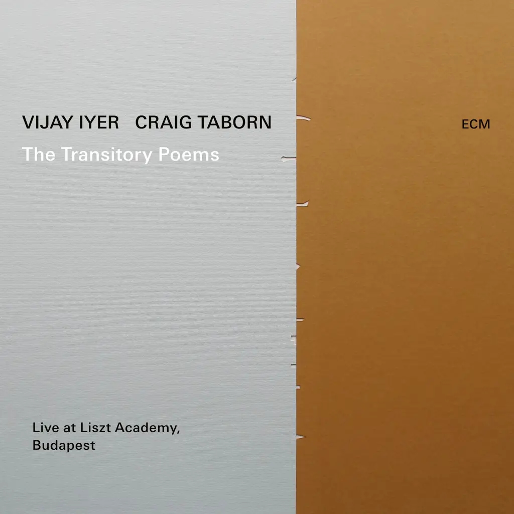 Album artwork for The Transitory Poems by Vijay Iyer / Craig Taborn