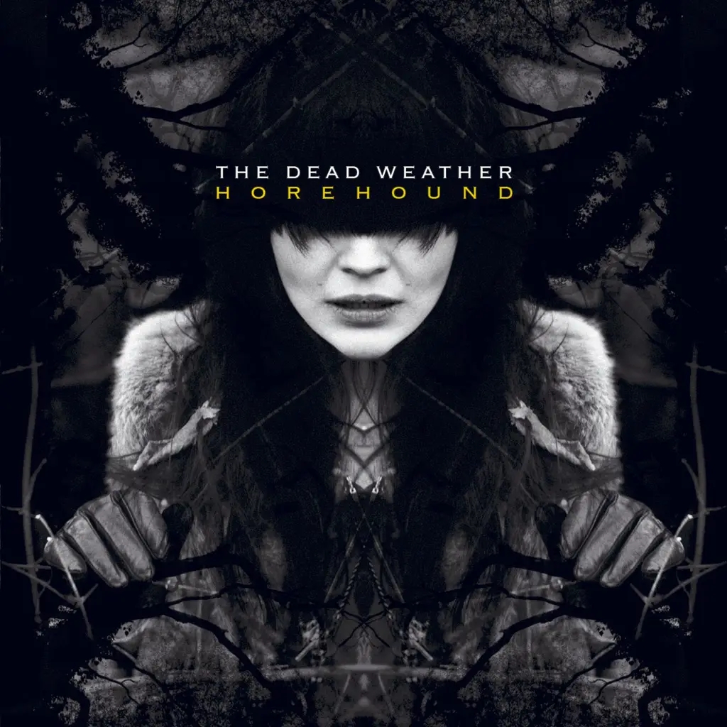 Album artwork for Horehound by The Dead Weather