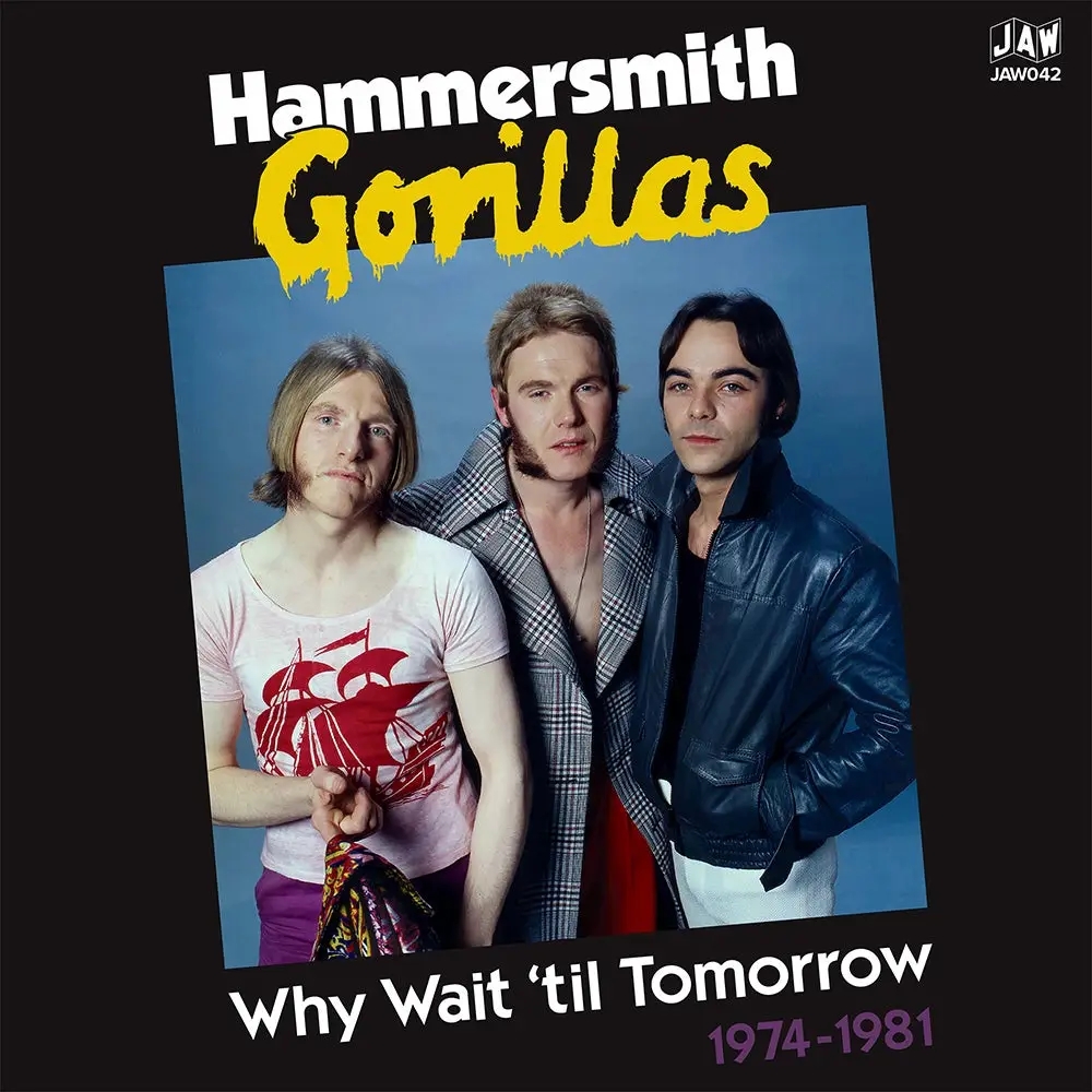 Album artwork for Why Wait Til Tomorrow 74-81 by The Hammersmith Gorillas