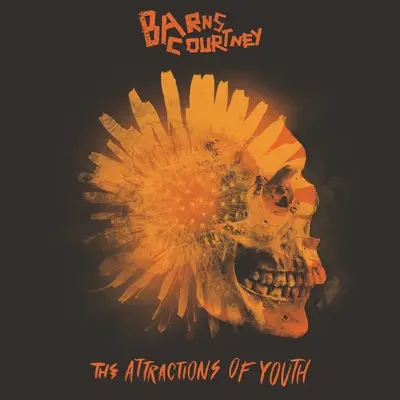 Album artwork for The Attractions of Youth by Barns Courtney