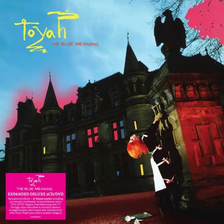 Album artwork for Album artwork for The Blue Meaning by Toyah by The Blue Meaning - Toyah