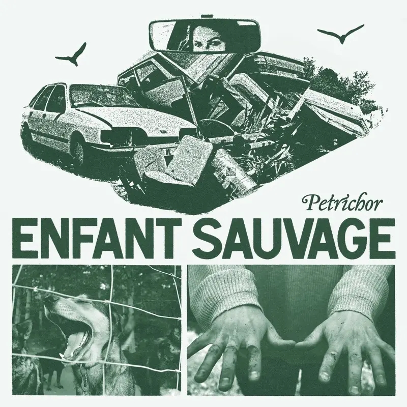 Album artwork for Petrichor by Enfant Sauvage