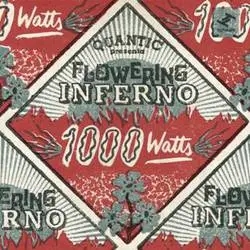 Album artwork for 1000 Watts by Quantic Presenta Flowering Inferno