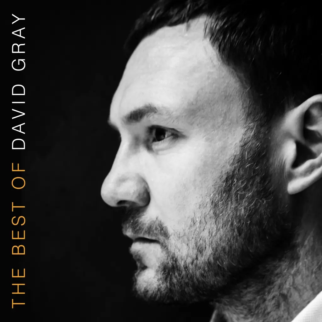 Album artwork for Album artwork for The Best of David Gray by David Gray by The Best of David Gray - David Gray