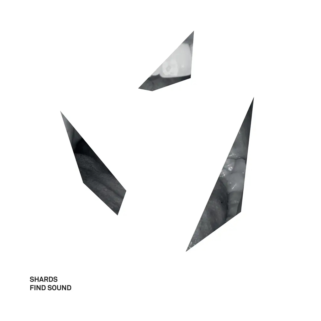 Album artwork for Find Sound by Shards