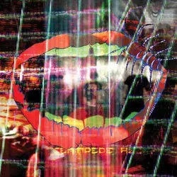 Album artwork for Centipede Hz by Animal Collective