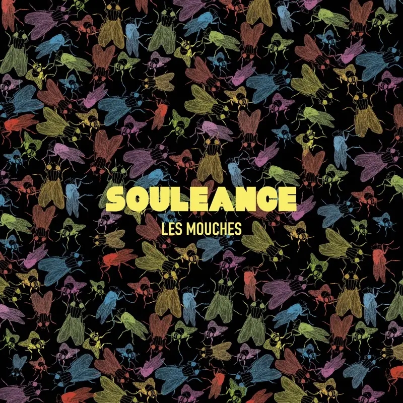 Album artwork for Les Mouches by Souleance