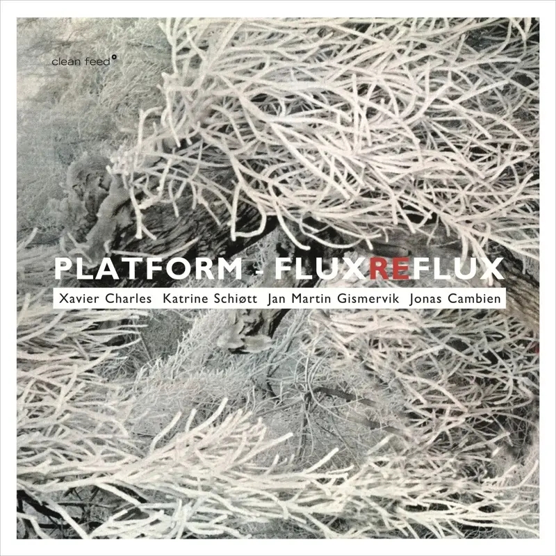 Album artwork for Album artwork for Platform by Platform by Platform - Platform