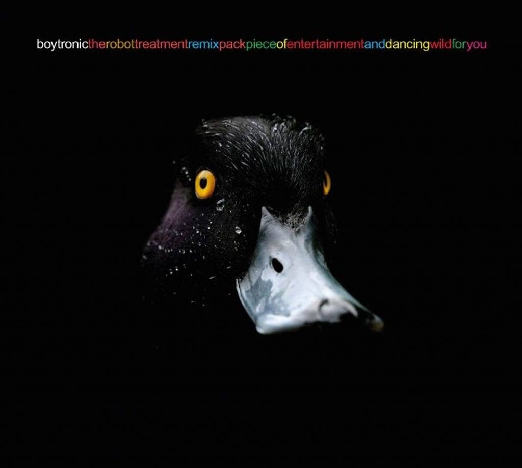 Album artwork for In the Company of Imaginary Friends by BirdPen