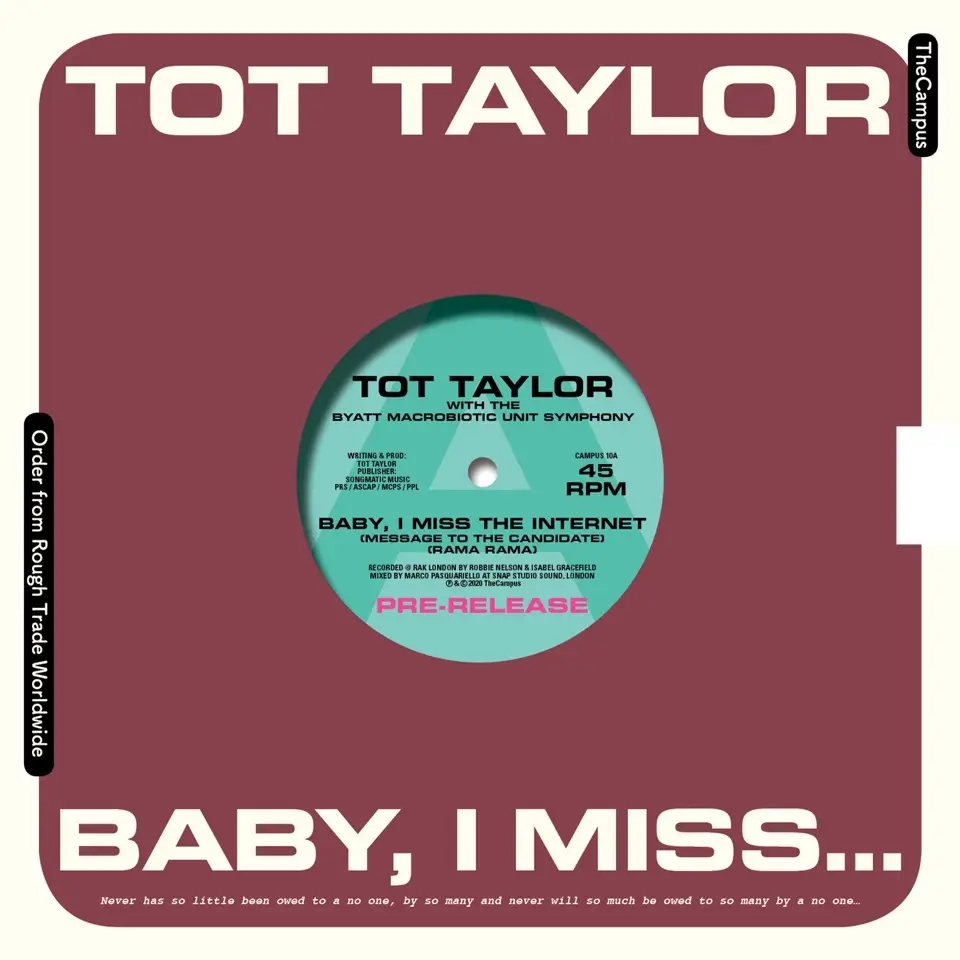 Album artwork for Album artwork for Baby I Miss The Internet by Tot Taylor by Baby I Miss The Internet - Tot Taylor