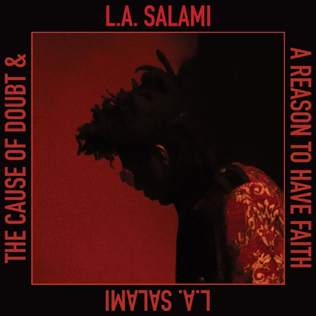 Album artwork for The Cause of Doubt and a Reason to Have Faith by LA Salami