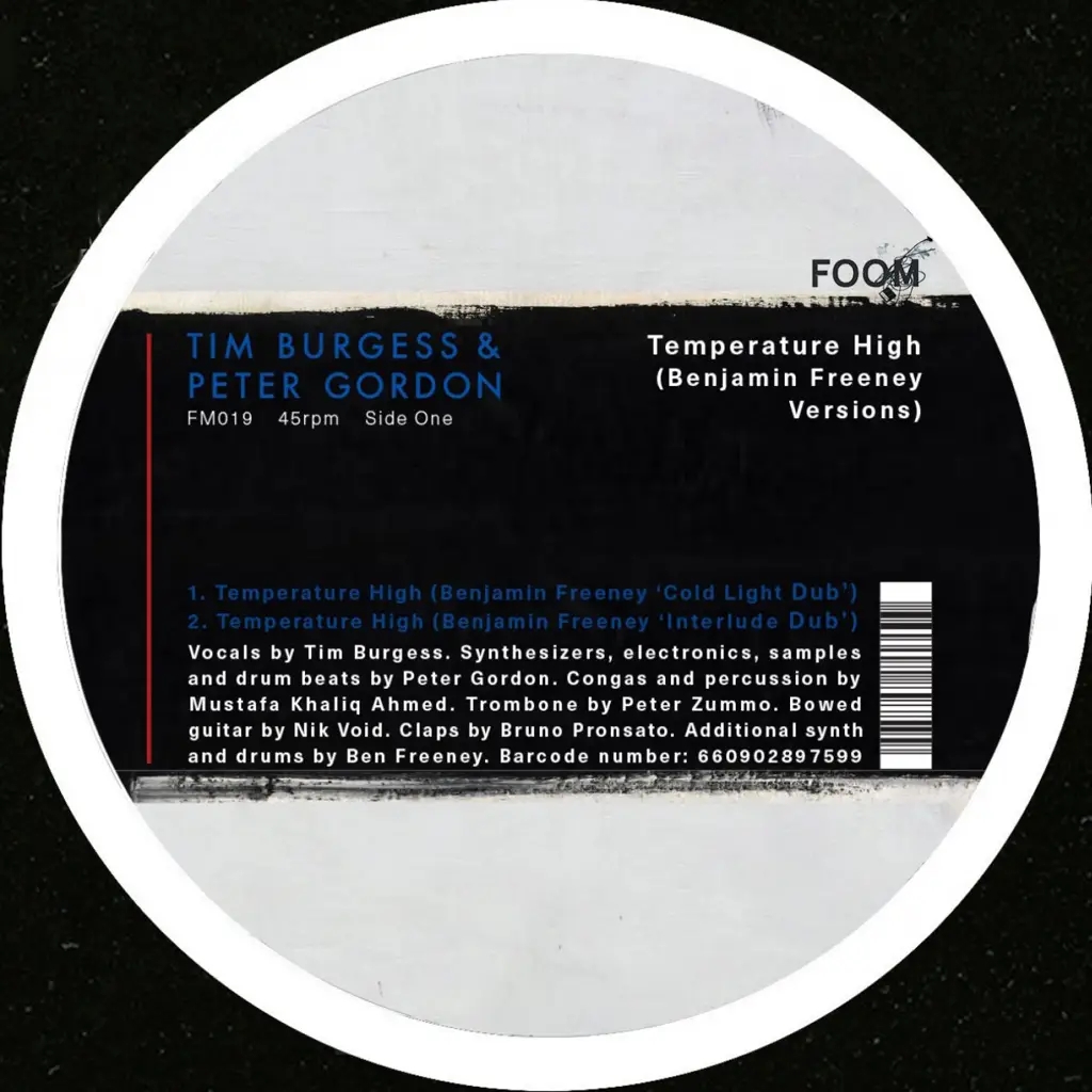 Album artwork for Temperature High (Benjamin Freeney Versions) by Tim Burgess and Peter Gordon