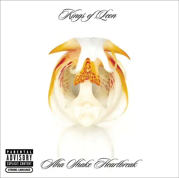 Album artwork for Aha Shake Heartbreak by Kings Of Leon