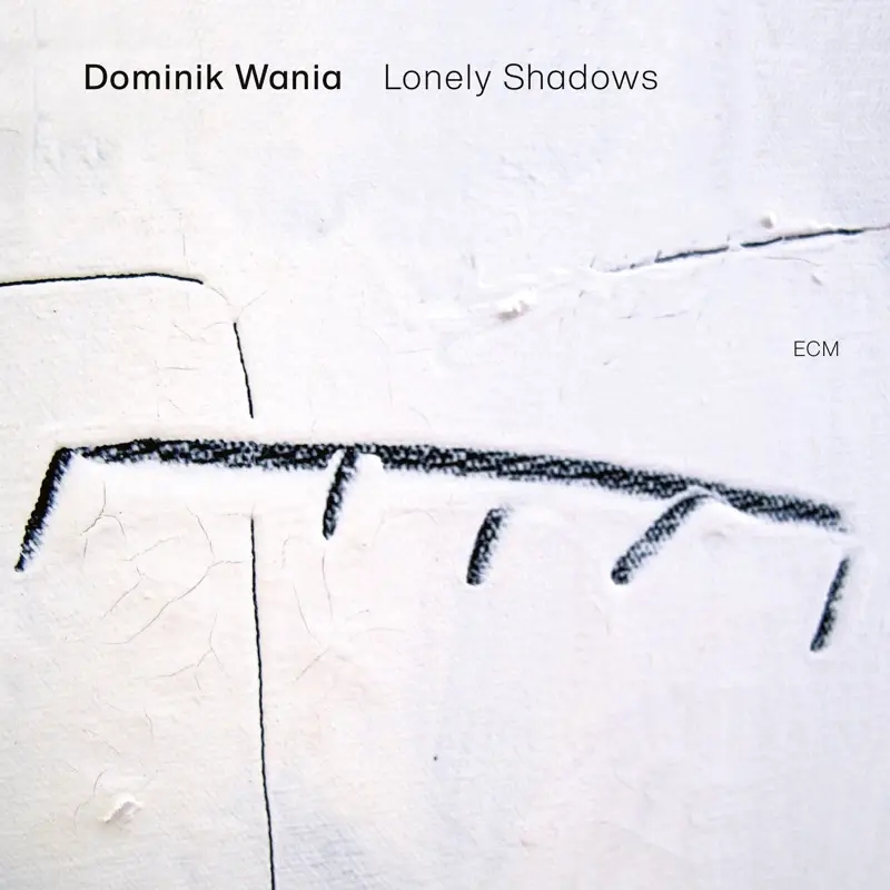 Album artwork for Lonely Shadows by Dominik Wania