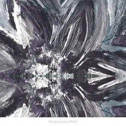 Album artwork for Instrumentals 2015 by Flying Saucer Attack