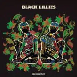 Album artwork for Black Lillies by The Black Lillies