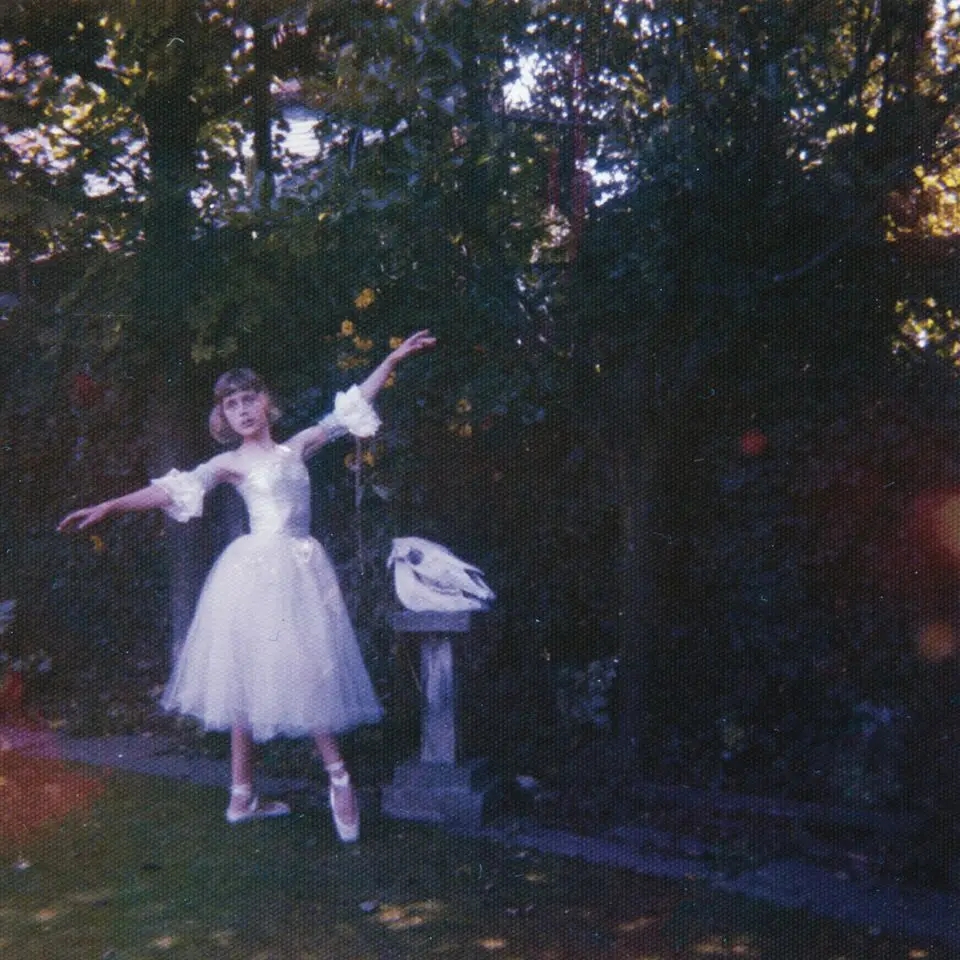 Album artwork for Visions of a Life by Wolf Alice