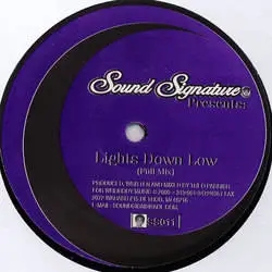 Album artwork for Lights Down Low by Theo Parrish