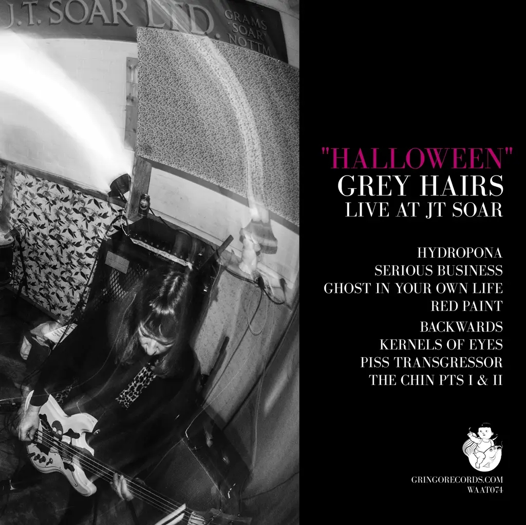 Album artwork for Halloween (Live at JT Soar) by Grey Hairs