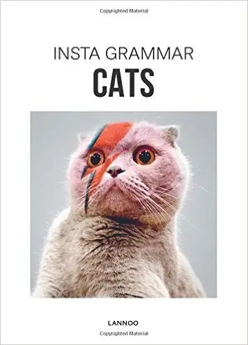 Album artwork for Insta Grammar: Cats by Irene Schampaert