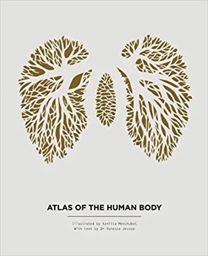 Album artwork for Atlas of the Human Body by Kanitta Meechubot