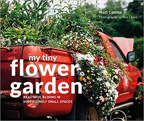 Album artwork for My Tiny Flower Garden by Matt Collins