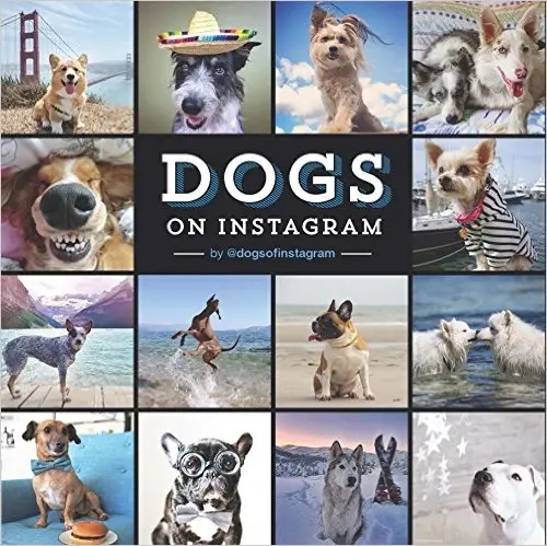 Album artwork for Dogs of Instagram by @dogs_of_instagram 