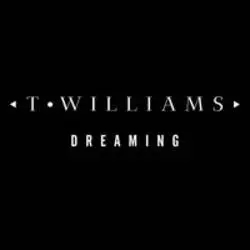 Album artwork for Dreaming by T Williams