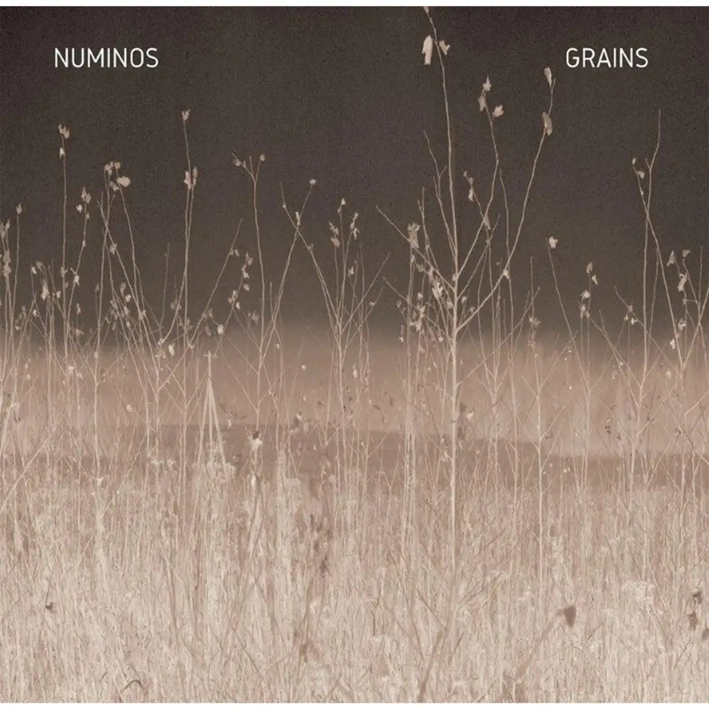 Album artwork for Grains by Numinos