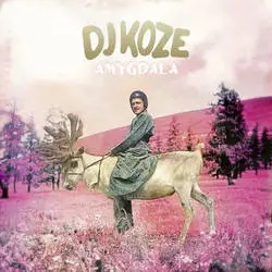 Album artwork for Amygdala by DJ Koze