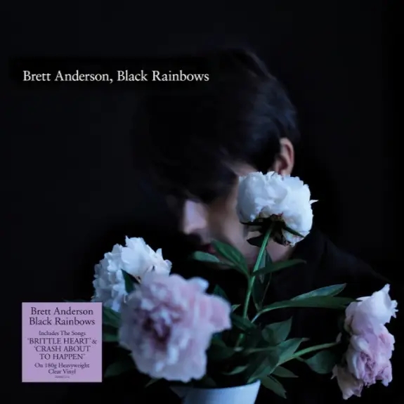 Album artwork for Album artwork for Black Rainbows by Brett Anderson by Black Rainbows - Brett Anderson