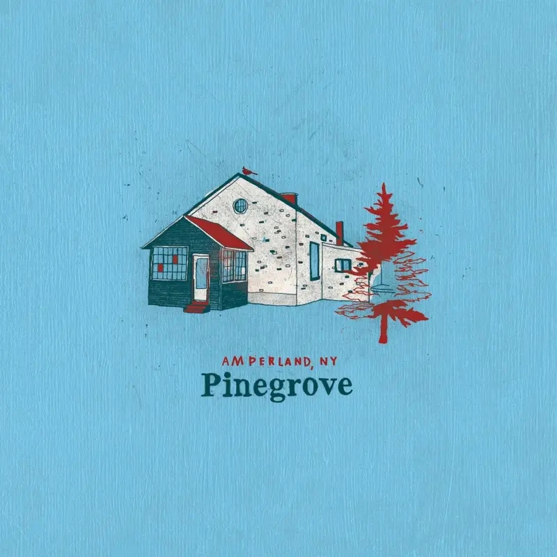 Album artwork for Amperland, NY by Pinegrove