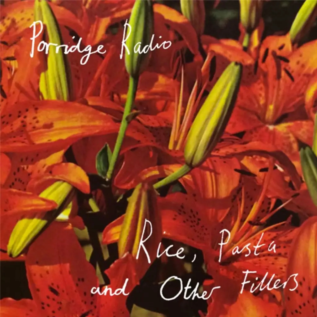 Album artwork for Rice, Pasta and Other Fillers by Porridge Radio