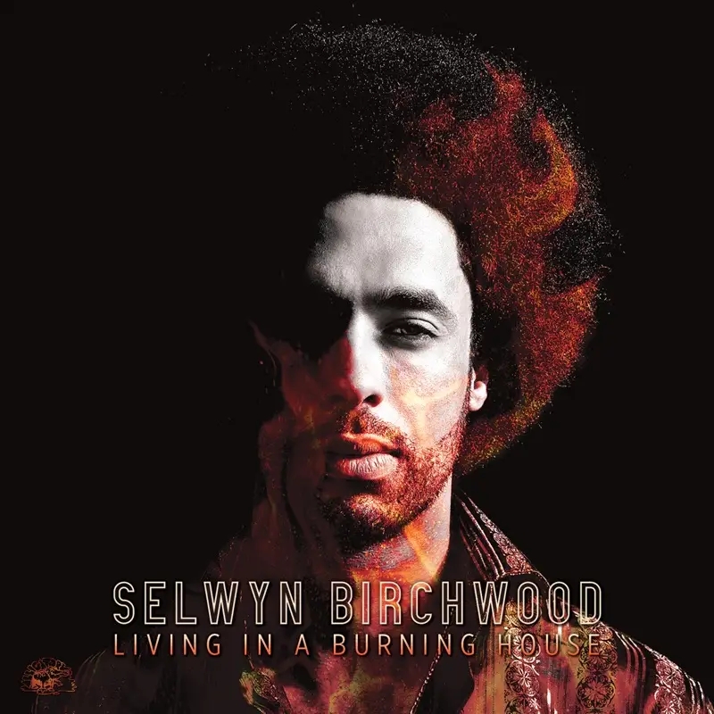 Album artwork for Living In A Burning House by Selwyn Birchwood