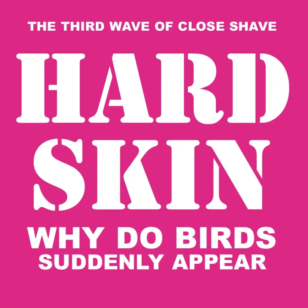 Album artwork for Why Do Birds Suddenly Appear by Hard Skin