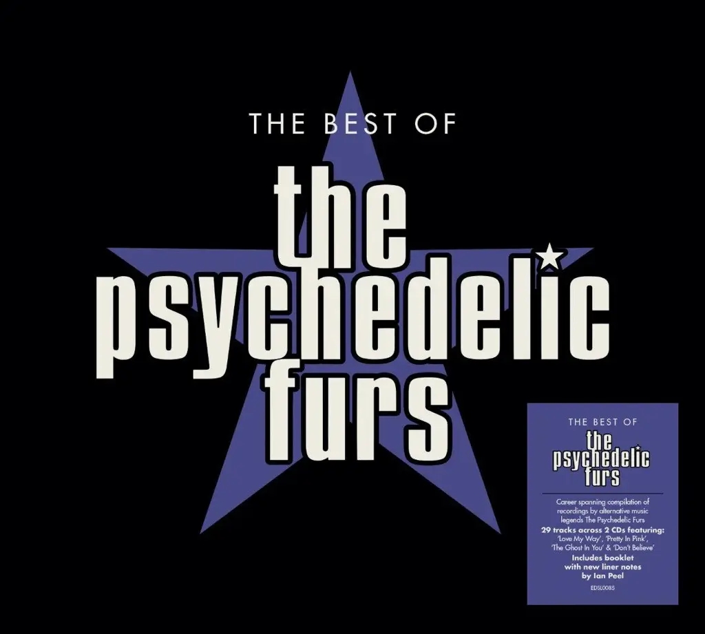 Album artwork for Album artwork for The Best of the Psychedelic Furs by The Psychedelic Furs by The Best of the Psychedelic Furs - The Psychedelic Furs