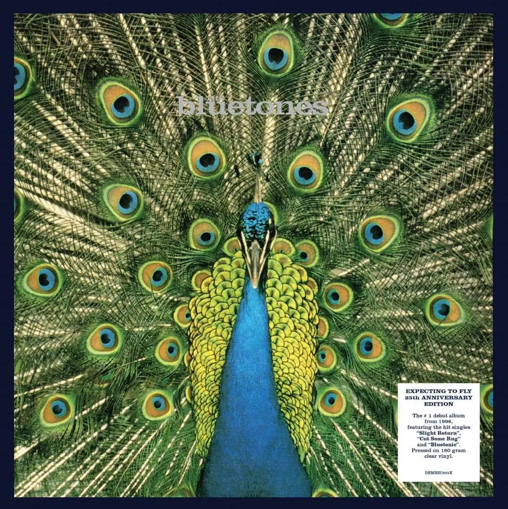 Album artwork for Album artwork for Expecting to Fly - 25th Anniversary Edition by The Bluetones by Expecting to Fly - 25th Anniversary Edition - The Bluetones