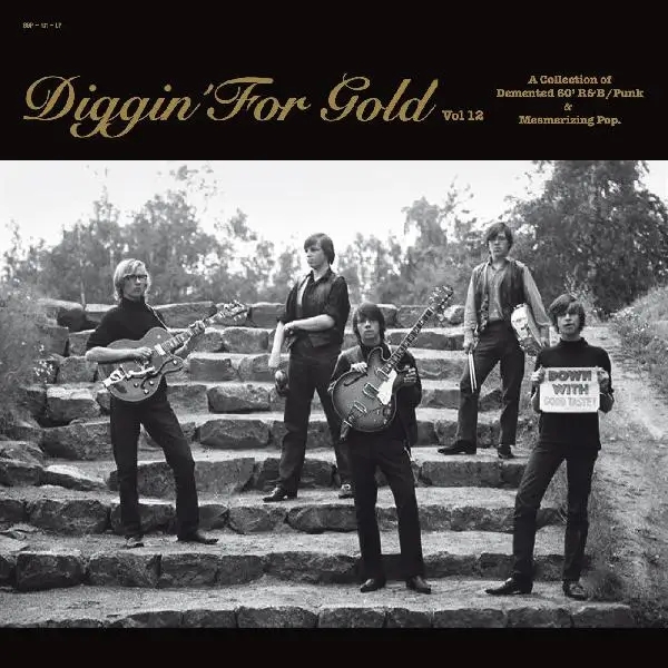 Album artwork for Diggin' For Gold Vol. 12 by Various Artists