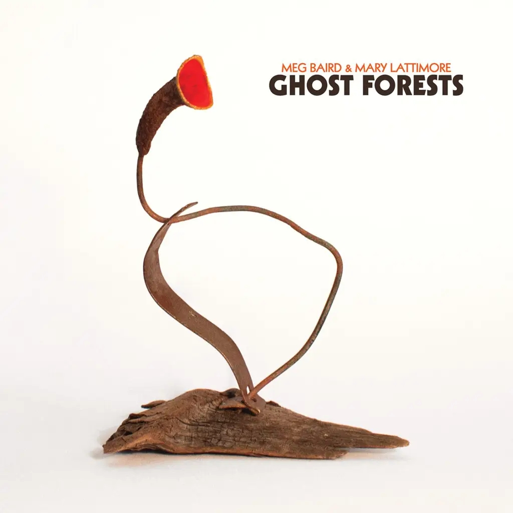 Album artwork for Ghost Forests by Meg Baird and Mary Lattimore