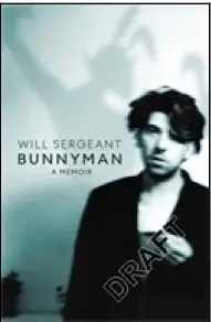 Album artwork for Bunnyman by Will Sergeant