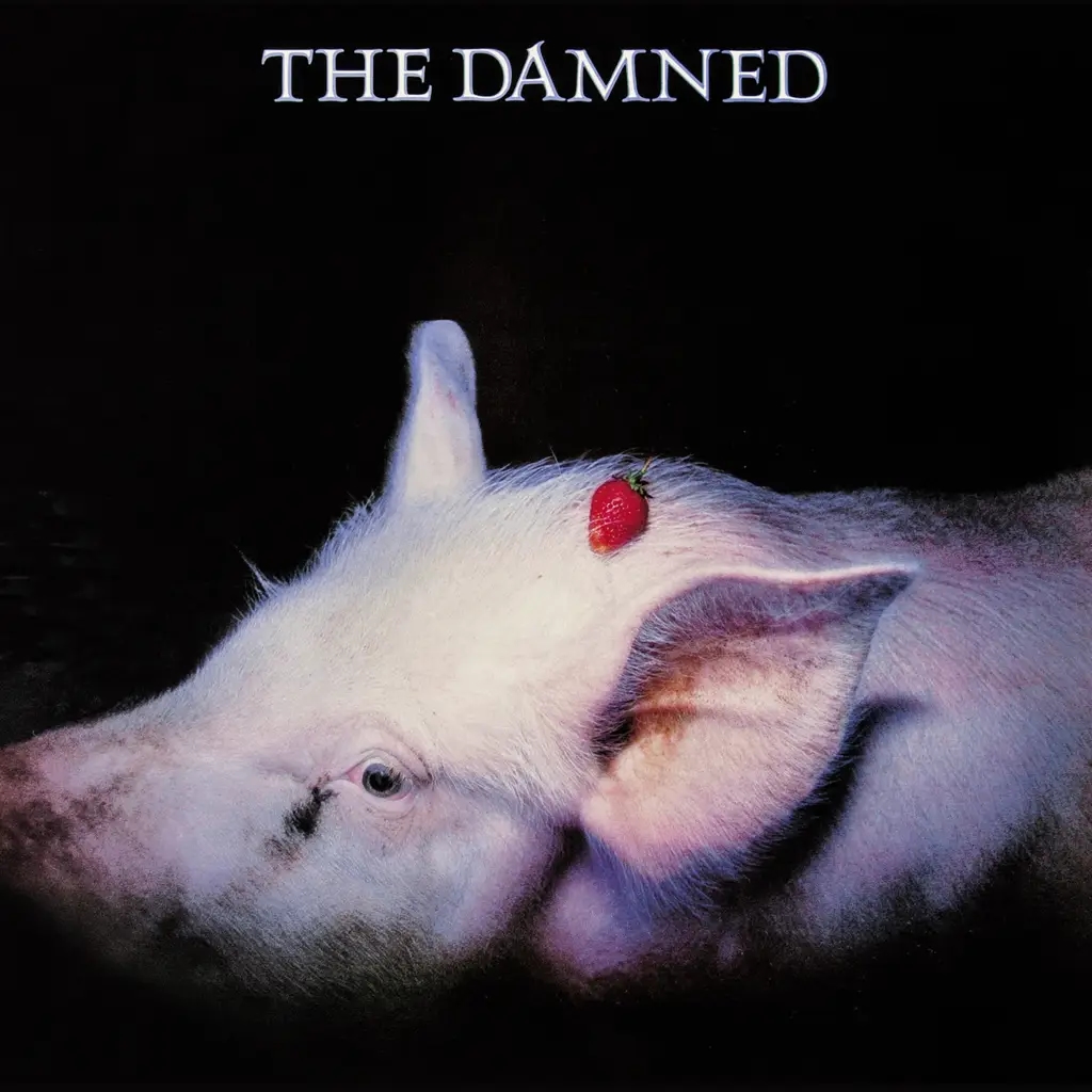 Album artwork for Strawberries by The Damned