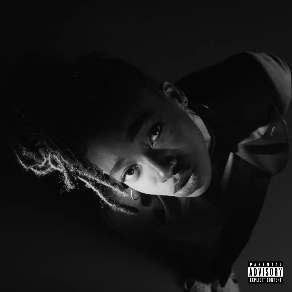 Album artwork for Album artwork for Grey Area by Little Simz by Grey Area - Little Simz