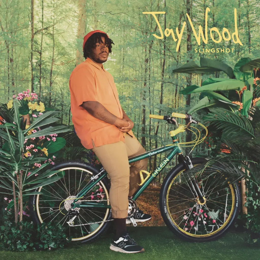 Album artwork for Slingshot by JayWood