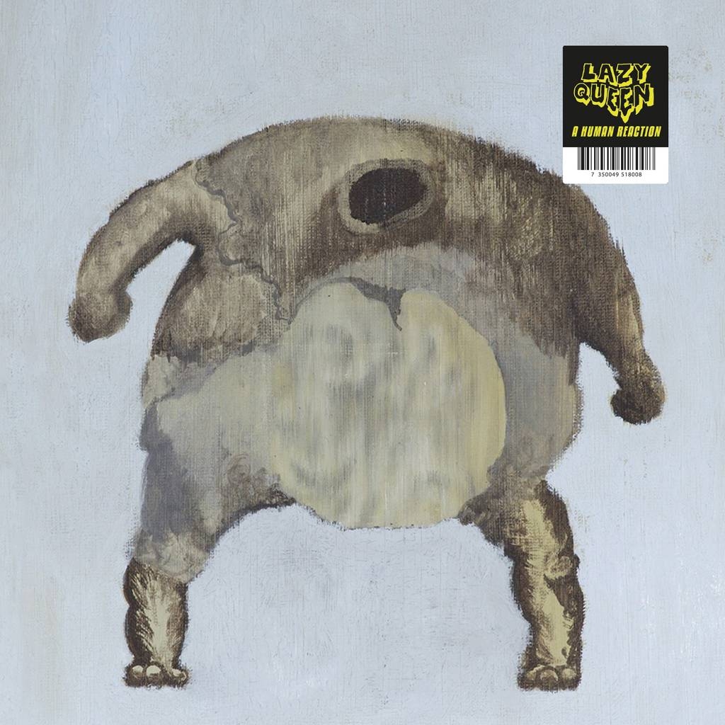 Album artwork for Transcendental Youth by The Mountain Goats