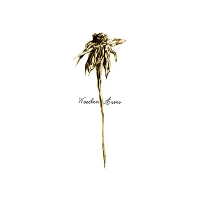 Album artwork for Wooden Arms by Patrick Watson