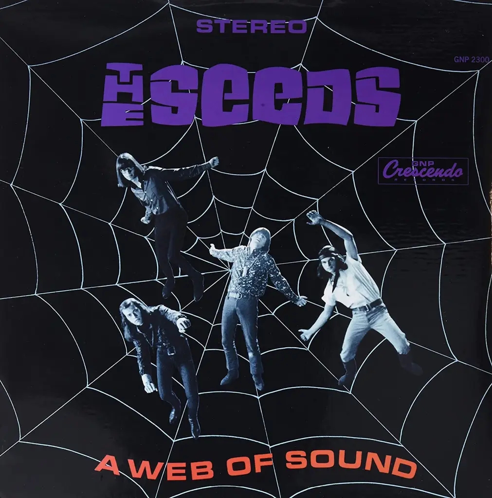 Album artwork for A Web Of Sounds by The Seeds