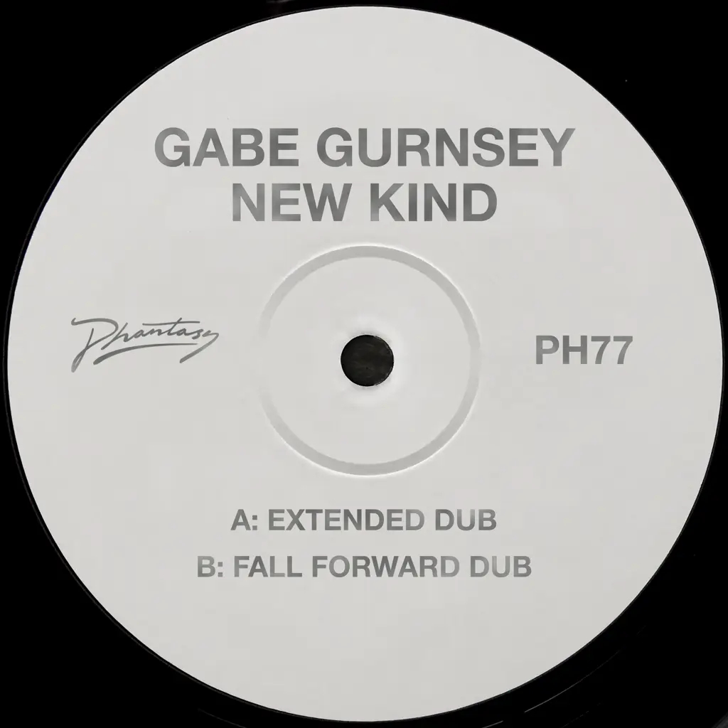 Album artwork for New Kind (Extended Dub / Fall Forward Dub) by Gabe Gurnsey