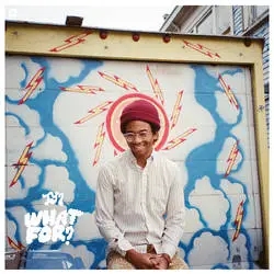 Album artwork for What For? by Toro Y Moi